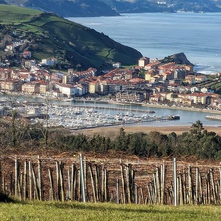 Zumaia Basque Alai Apartment ภายนอก รูปภาพ